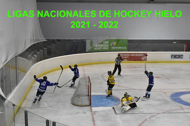 Repaso a las competiciones nacionales de Hockey Hielo